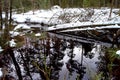 Peat bog, reflection in the water and trees - winter time