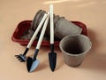 peat cups and garden tools for seedlings