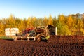 Peat excavation machine in a bog in Northwestern Germany Royalty Free Stock Photo