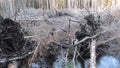 Peat fire; ground fire in boreal mixed forests