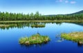 Peat lake - morass in reservation Royalty Free Stock Photo