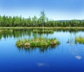 Peat lake - morass in reservation Royalty Free Stock Photo