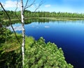 Peat lake in reservation Royalty Free Stock Photo