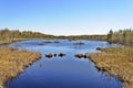 Peat lake in spring time Royalty Free Stock Photo