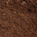 Peat moss soil Royalty Free Stock Photo