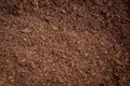 Peat moss soil Royalty Free Stock Photo