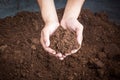 Peat moss soil on hand woman Royalty Free Stock Photo