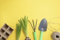 peat pots are intended for growing seedlings, rake, shovel, green seedlings and scourges on yellow background. backyard