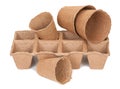 Peat pots for seedlings Royalty Free Stock Photo