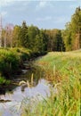 Peat the river and the forest Royalty Free Stock Photo