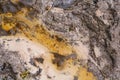 Peat sediments in the sandy bottom of spring Creek. soil. the bottom of clear Creek the floodplain of river abstraction background