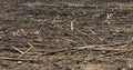 Peat soil as a background. Dirt texture as background.