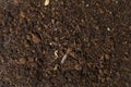 Peat Soil Texture
