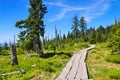 Peatbog in Giant Mountains