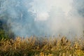Peatland fires in summer