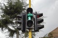 Peatonal green traffic light on with a tree and grey cloud Royalty Free Stock Photo