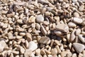 Pebble background