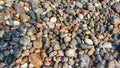 Pebble beach as background. Calm concept. Closeup of wet multicolored stones