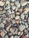 Pebble beach background, stone floor. Abstract nature pebbles background. Sea peblles beach. Beautiful nature