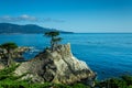 Pebble Beach, CA / United States - Aug 19, 2019: A landscape shot of the famous Lone Cypress, a Monterey cypress tree standing on Royalty Free Stock Photo