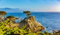 Lone Cypress