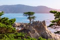 Pebble Beach, California/USA - October 28, 2019: Beautiful lone Cypress tree Monterey cypress on 17-mile drive. Royalty Free Stock Photo