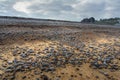 Pebble beach and a castle of Dieppe in Normandy