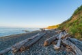 Pebble beach with driftwood in early morning