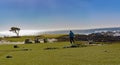 Pebble Beach Golf Royalty Free Stock Photo