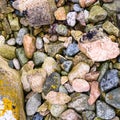 pebble on beach of Gouffre gulf of English Channel