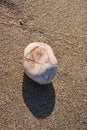 Pebble on the beach on the Greek island Royalty Free Stock Photo