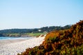 Pebble Beach Golf Course View from shoreline Royalty Free Stock Photo