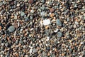 Pebble beach multi colored horizontal background Royalty Free Stock Photo