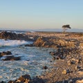 Pebble Beach Ocean shoreline Beach waves coast