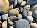 pebble beach sea ocean rocks smooth rock heap garden yard path walkway pebbles Royalty Free Stock Photo