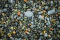 Pebble Beach Stones Background, Natural Rounded Gravel On The Seashore Nature Background Texture Pattern