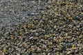 pebble beach washed by sea waves, small and various stones forming the shore