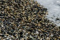 pebble beach washed by sea waves, small and various stones forming the shore