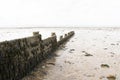 Pebble Beach at Whitstable