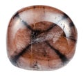 Pebble of Chiastolite Andalusite stone Royalty Free Stock Photo