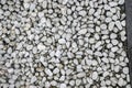 Small white pebbles for garden Royalty Free Stock Photo