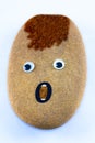A pebble with google eyes and open mouth.