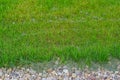 Pebble grass park edge Royalty Free Stock Photo