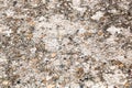 Pebble gravel in concrete