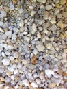 Pebble gravel floor