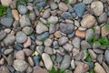 Pebble and green plants