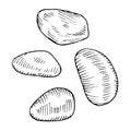 Pebble outline set. Vector illustration of stone. Hand drawn graphic clipart of rough rock. Linear drawing on isolated
