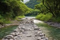 pebble path leading to a sequestered hot spring Royalty Free Stock Photo