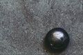 Pebble polished shungite tumbled stone on a black background with blank space