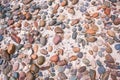 Pebble and sand background